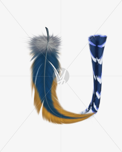 u