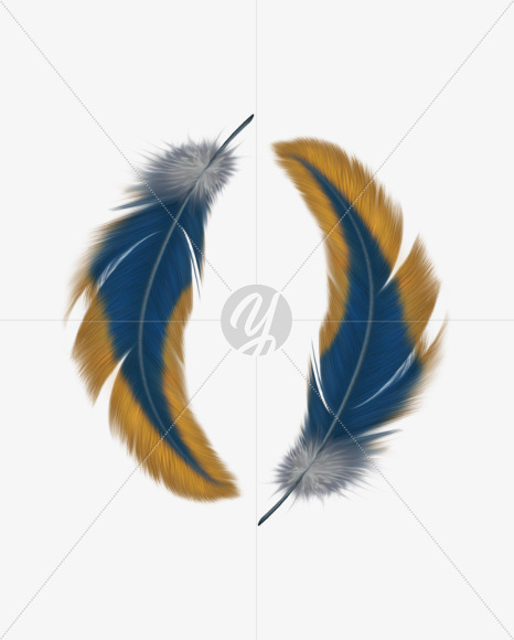 o 2 from FeatherType font on Yellow Images Creative Fonts - S58417