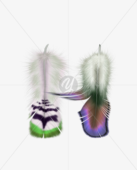 h