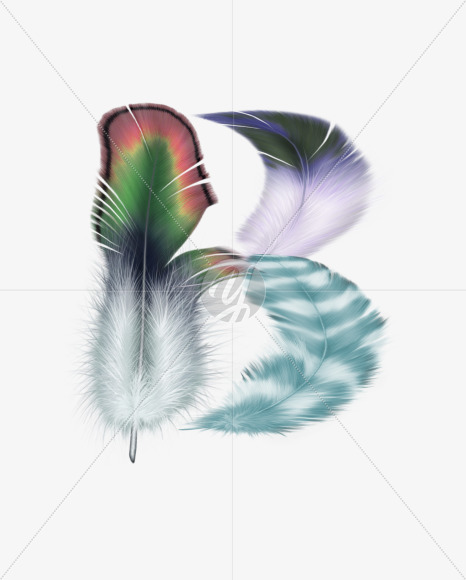 b