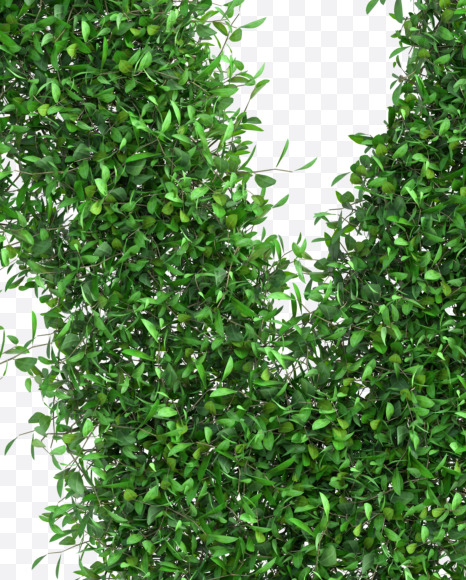 Letter W from Green tree alphabet Set 2 on Yellow Images Creative Fonts - S58950