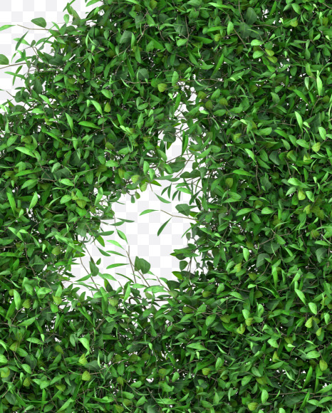 4 from Green tree alphabet Set 2 on Yellow Images Creative Fonts - S58958