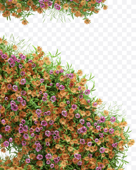 Letter S from Pink and orange flower alphabet on Yellow Images Creative Fonts - S59215