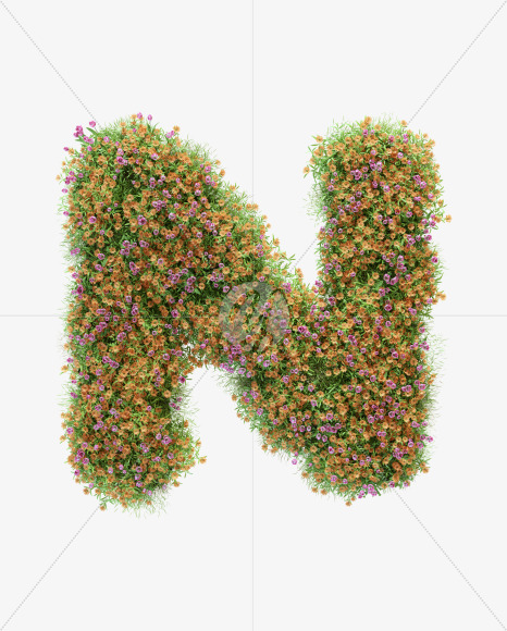 Letter N from Pink and orange flower alphabet on Yellow Images Creative Fonts - S59210