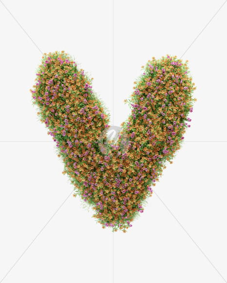 V