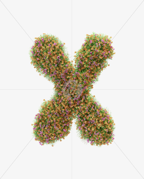 Letter X from Pink and orange flower alphabet on Yellow Images Creative Fonts - S59220