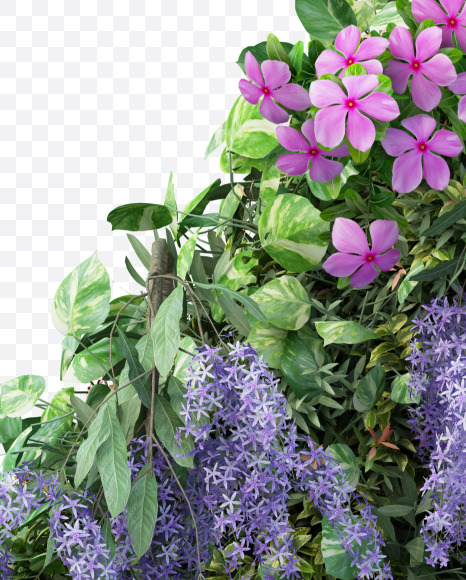 Z uppercase from Vertical Flower Garden Font on Yellow Images Creative Fonts - S60831