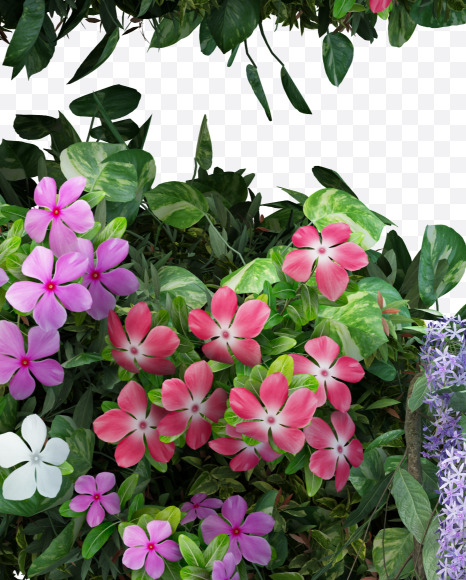5 from Vertical Flower Garden Font on Yellow Images Creative Fonts - S60776