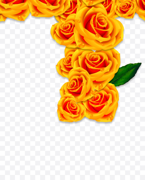 + from Rose Flowers Font on Yellow Images Creative Fonts - S62120