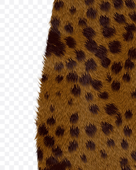 Letter C from Cheetah fur alphabet on Yellow Images Creative Fonts - S62558