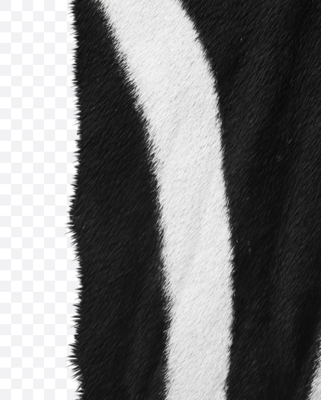 Letter H from Zebra fur alphabet on Yellow Images Creative Fonts - S62600