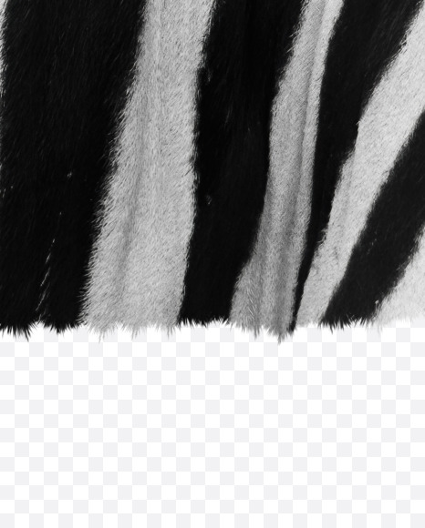 Letter Y from Zebra fur alphabet on Yellow Images Creative Fonts - S62617