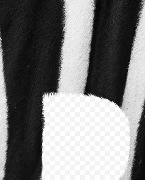 Letter D from Zebra fur alphabet on Yellow Images Creative Fonts - S62596
