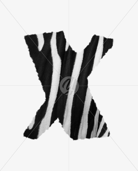 Letter X from Zebra fur alphabet on Yellow Images Creative Fonts - S62616