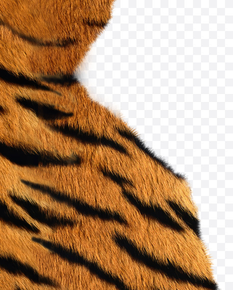 8 from Tiger fur alphabet on Yellow Images Creative Fonts - S62691