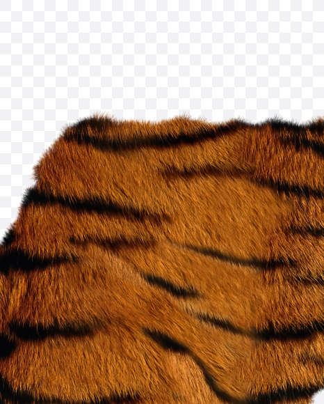 Letter K from Tiger fur alphabet on Yellow Images Creative Fonts - S62667