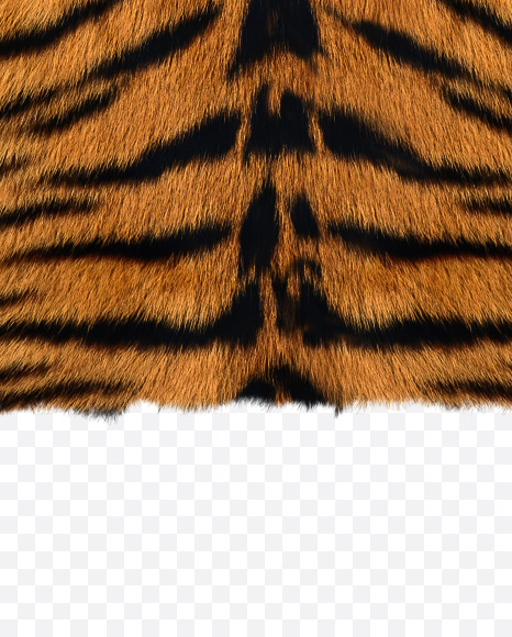 Letter Y from Tiger fur alphabet on Yellow Images Creative Fonts - S62681