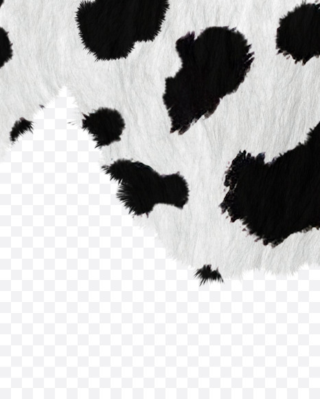 Letter X from Dalmatian fur alphabet on Yellow Images Creative Fonts - S62717