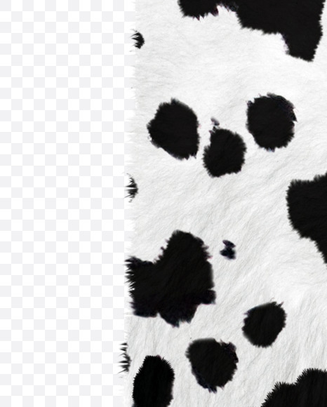 Letter I from Dalmatian fur alphabet on Yellow Images Creative Fonts - S62702