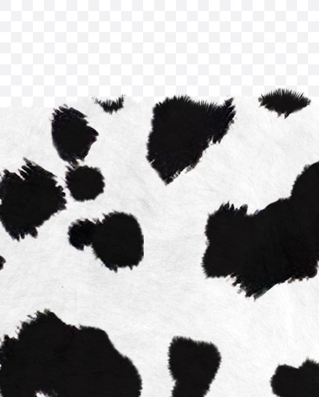 Letter R from Dalmatian fur alphabet on Yellow Images Creative Fonts - S62711