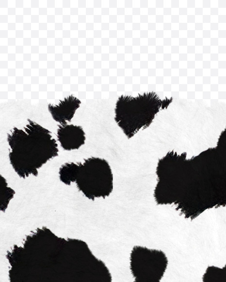 Letter Z from Dalmatian fur alphabet on Yellow Images Creative Fonts - S62719