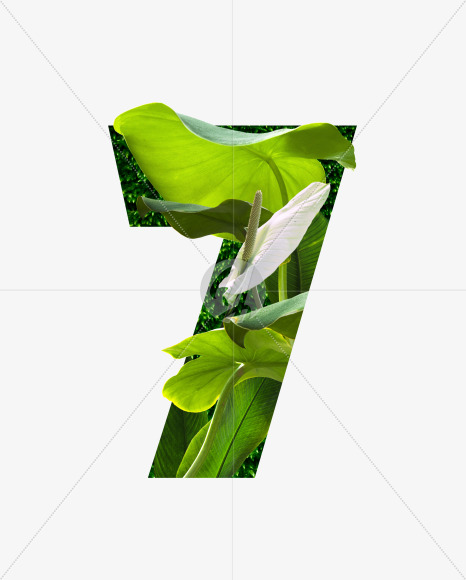 7