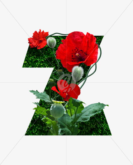 Letter Z from Realistic floral font with flowers and leaves. on Yellow Images Creative Fonts - S62766