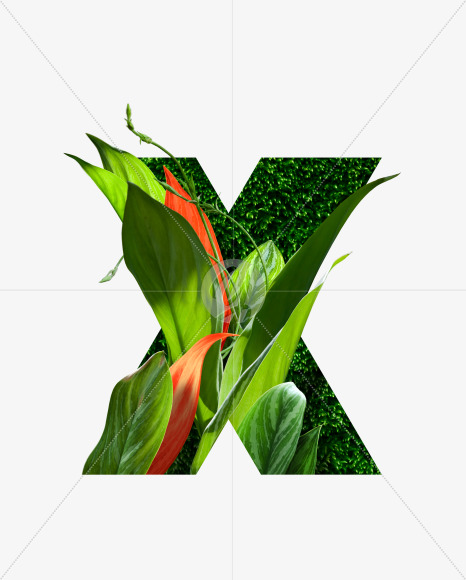 Letter X from Realistic floral font with flowers and leaves. on Yellow Images Creative Fonts - S62764