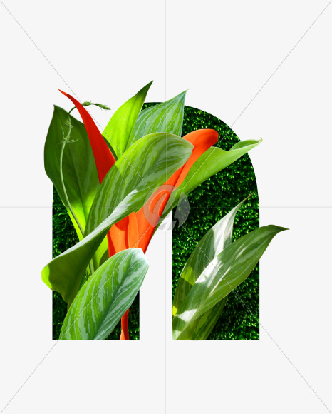 Letter N from Realistic floral font with flowers and leaves. on Yellow Images Creative Fonts - S62754