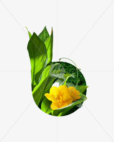 B