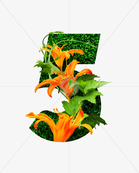 5