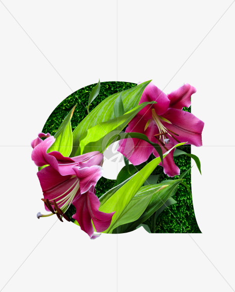 Letter A from Realistic floral font with flowers and leaves. on Yellow Images Creative Fonts - S62741