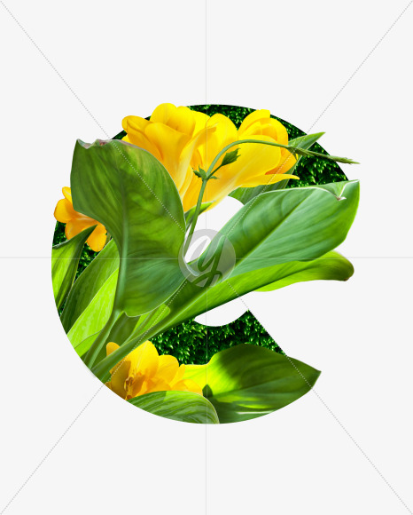 Letter E from Realistic floral font with flowers and leaves. on Yellow Images Creative Fonts - S62745