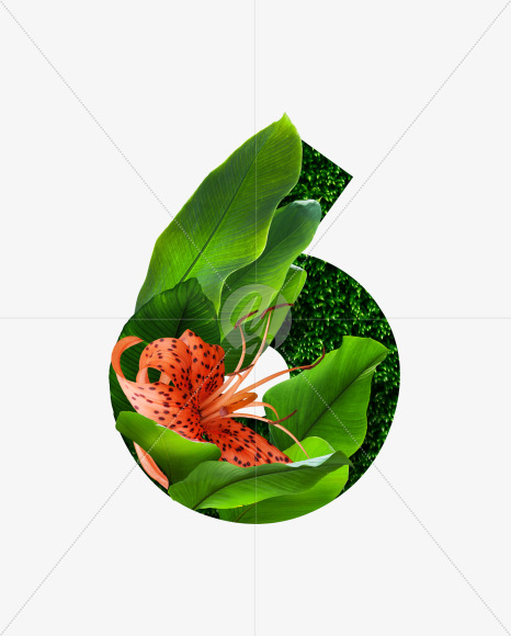 6