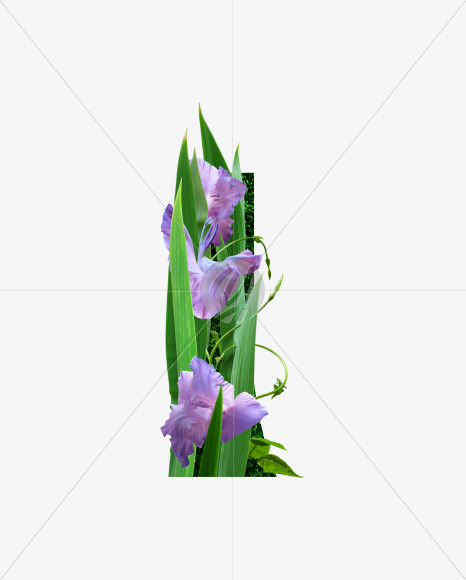L