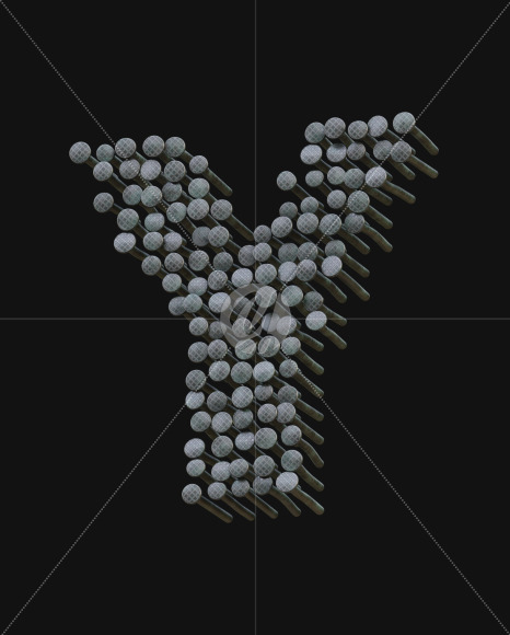 Y