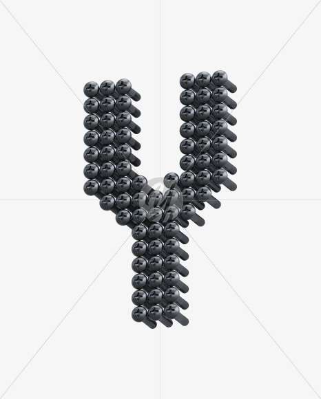Y