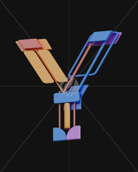 Y
