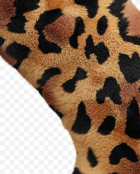 & from Leopard font on Yellow Images Creative Fonts - S66100