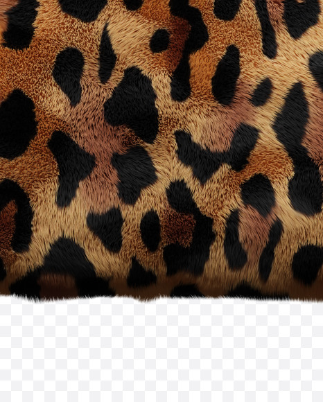 1 from Leopard font on Yellow Images Creative Fonts - S66091