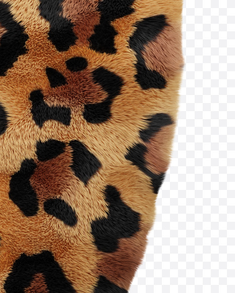 0 from Leopard font on Yellow Images Creative Fonts - S66090