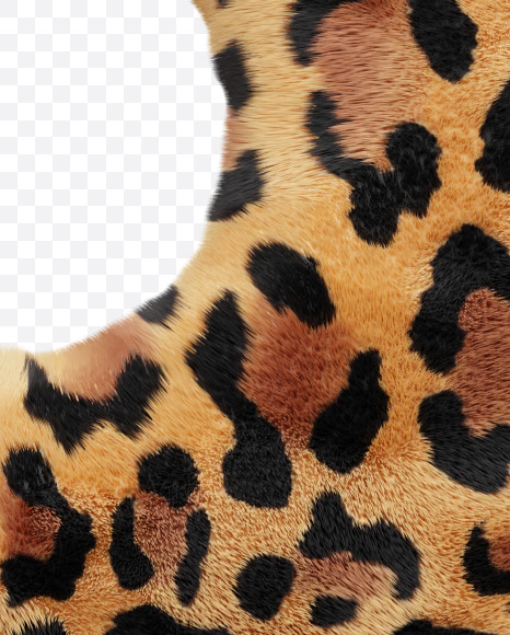 8 from Leopard font on Yellow Images Creative Fonts - S66098