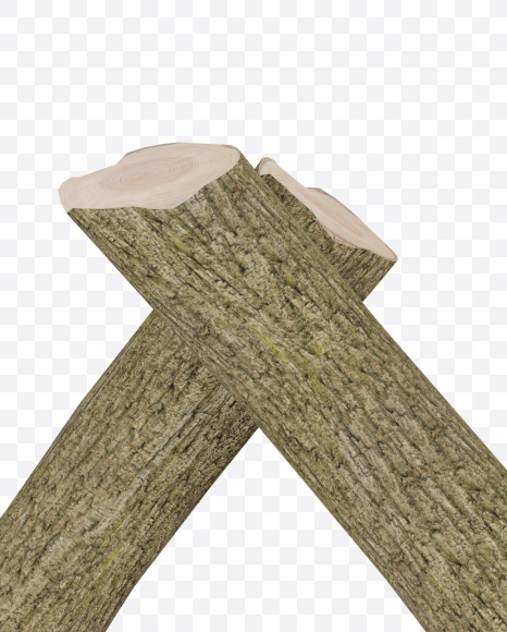 Letter O from Wooden Logs Alphabet on Yellow Images Creative Fonts - S70374