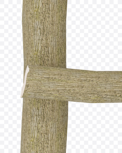 Letter E from Wooden Logs Alphabet on Yellow Images Creative Fonts - S70364