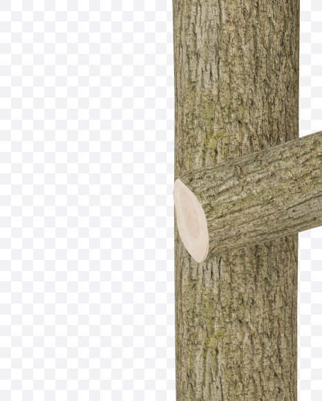 Letter P from Wooden Logs Alphabet on Yellow Images Creative Fonts - S70375