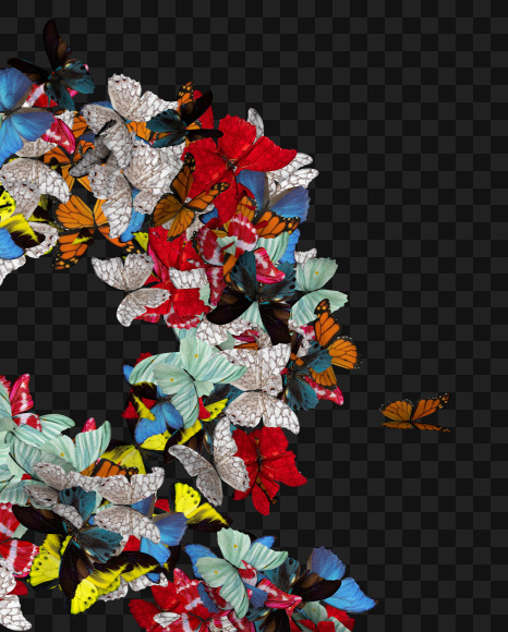 8 from Spring Butterfly Text on Yellow Images Creative Fonts - S71640