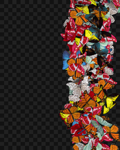 Bracket from Spring Butterfly Text on Yellow Images Creative Fonts - S71647