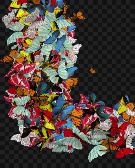 Letter L from Spring Butterfly Text on Yellow Images Creative Fonts - S71660