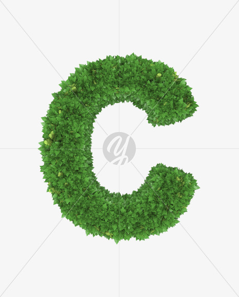 Letter C from Boxwood leaves font on Yellow Images Creative Fonts - S71748