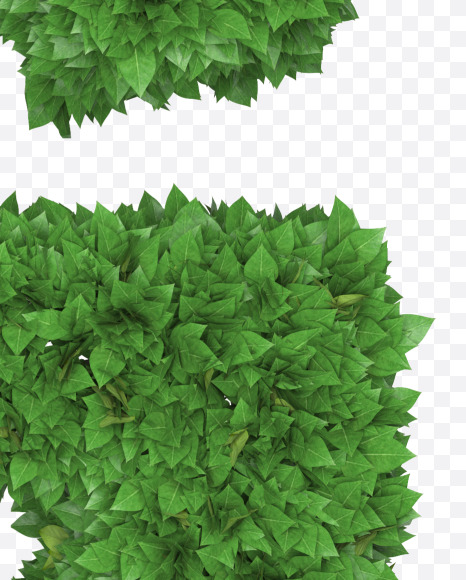 Letter G from Boxwood leaves font on Yellow Images Creative Fonts - S71752